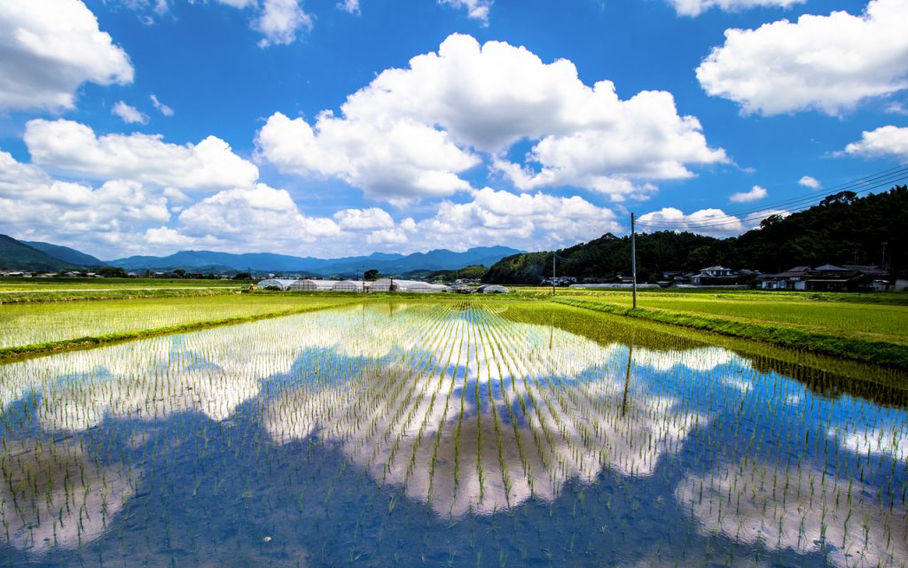 熊本県菊池市水田